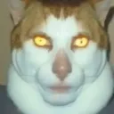 ❥ ₊˚ʚ💫🩵𖥻ׁ Cinammon Cafe꒷₊˚🩵💫's icon