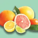 lemons and limes Discord Server Icon