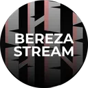 BerezaStream City