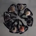 ATEEZ Germany