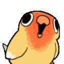 鸚鵡農場