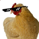 CHICKEN FAM🐓