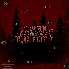 Cursed Ruins Inside Forest #2246