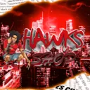 Hawk's Shop