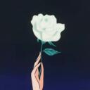 Neverland Discord Server Icon