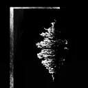 The Dissonance