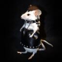 Cosmo's Critters Discord Server Icon