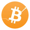 The Bit Wealth