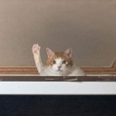 캣타워 Discord server icon