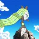 meloetta﹒mm﹒trade