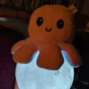 Star Lights