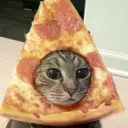 cats_and_counting
