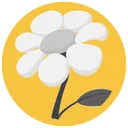 Marguerite ACO
