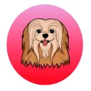 Apso Coin