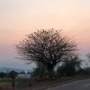 intercambios