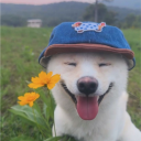 Lost's Exclusive Club avatar