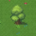 Timelapse Tree's Home