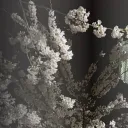 [Archived] Oto Home's icon