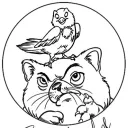 CatBird Studios