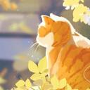   ;CozyCat Cafe.   Discord Server Icon