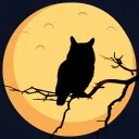 Owl Kingdom.
