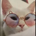 🐈Brajan and crochet🐈 - Razem Tworzymy Społeczność, Którą Pokochasz.
