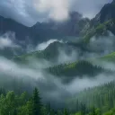 Wonderful LAND