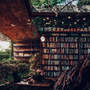 Little Lilac Library