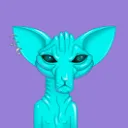 Сервер Holopopik
