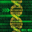 GMU Bioinformatics