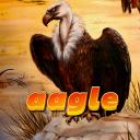 aagle Community Server