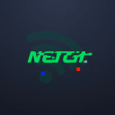 Discovery icon for Netch LK Discord server