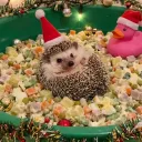 🎅 хуй моржовый V2 🎄