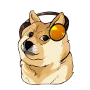 Alpha’s Alley