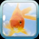 ⁺     🌀☆     .　Aquarium 　  🫧🪼 　  /jellyfish icon
