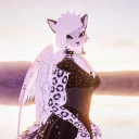 Valerie's Assets