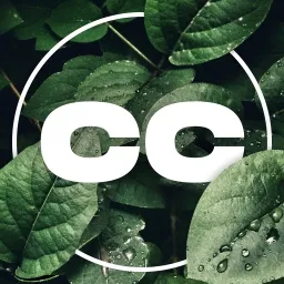 𝐂𝐂 - 𝐂𝐎𝐌𝐌𝐔𝐍𝐈𝐓𝐘 𝐂𝐋𝐔𝐁 — мониторинг Discord сервера, статистика и рейтинг