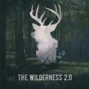 The Wilderness 2.0