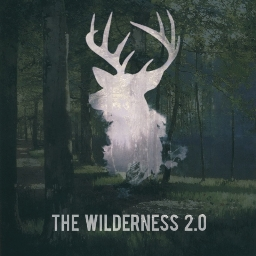 Discovery icon for The Wilderness 2.0 Discord server