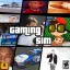 Gaming Sim