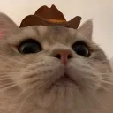 Cowboy Cat Corner