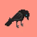 Degen Ravens