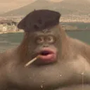 Cleepin