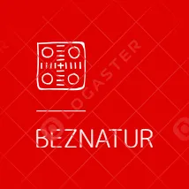 BezNatur — мониторинг Discord сервера, статистика и рейтинг