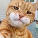 🎮🐱Oyen Gaming Server🐱🎮