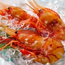 鯖缶