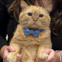 Soft and wet Discord server icon