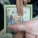 서바이보