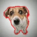 🐶・La casa de los Timmy´s