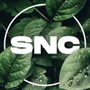 STAR NINJA COMMUNITY Discord server icon